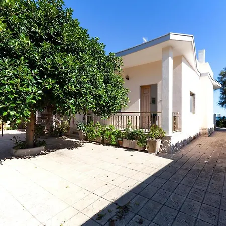 Panorama M160